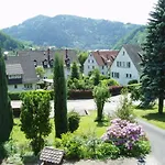 Inn Schwarzwaldhotel / 3*