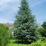 Schwarzwaldhotel / Inn 3*