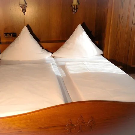 Schwarzwaldhotel / 3* Wolfach
