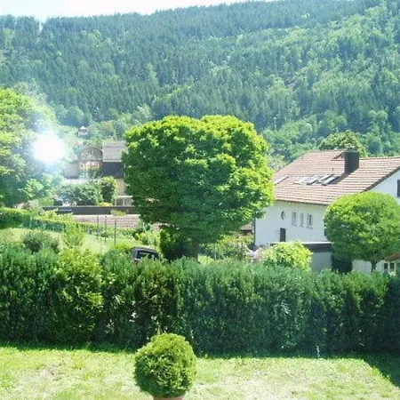 Schwarzwaldhotel / Inn Wolfach