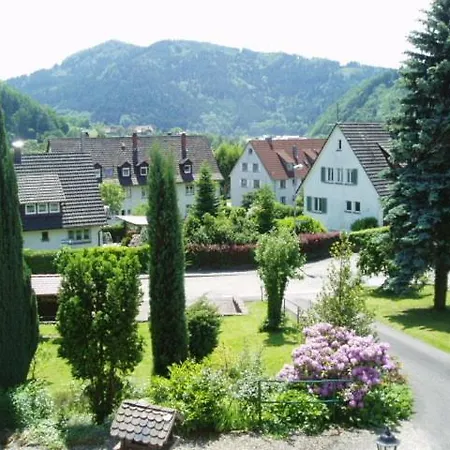 宾馆 Schwarzwaldhotel / 3*