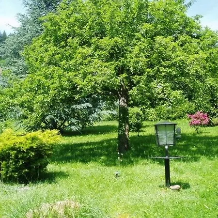 Schwarzwaldhotel / 여관 3*