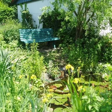 Schwarzwaldhotel / 3* 볼파흐