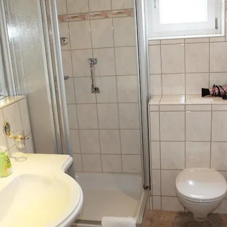 Schwarzwaldhotel / 宾馆 3*