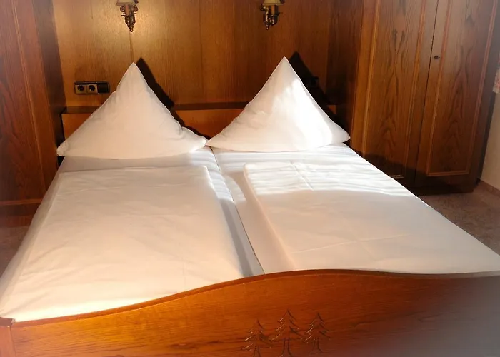 Schwarzwaldhotel / 3* Wolfach