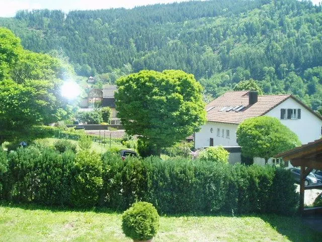 Schwarzwaldhotel / Mini-hôtel Wolfach