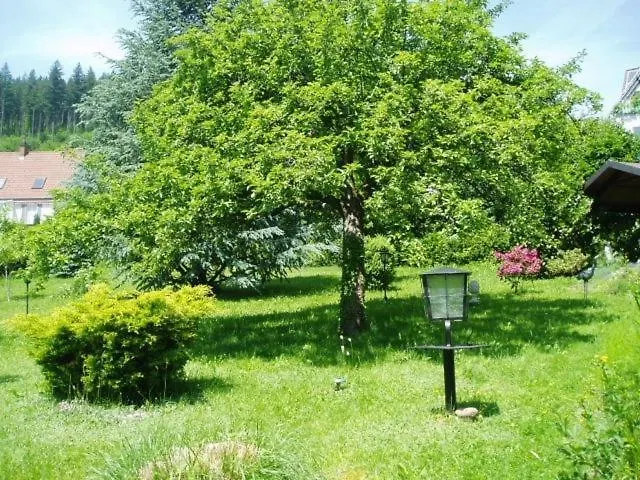 Schwarzwaldhotel / Värdshus 3*