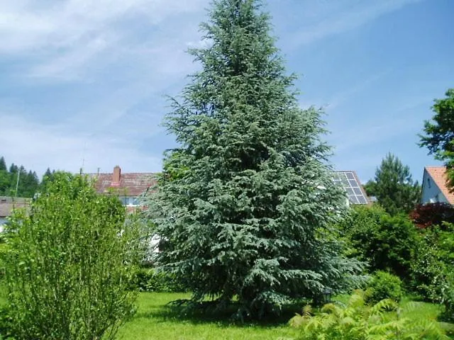 Schwarzwaldhotel / Herberg 3*