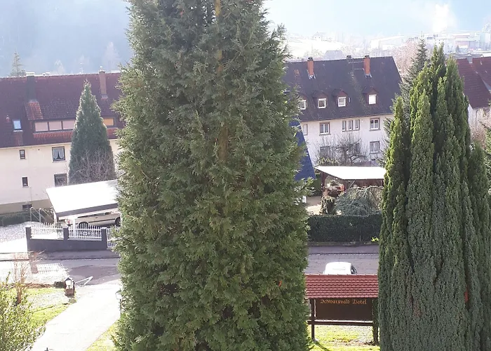 Schwarzwaldhotel /