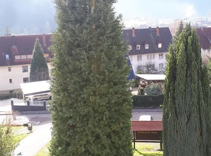 Schwarzwaldhotel / 3* Wolfach